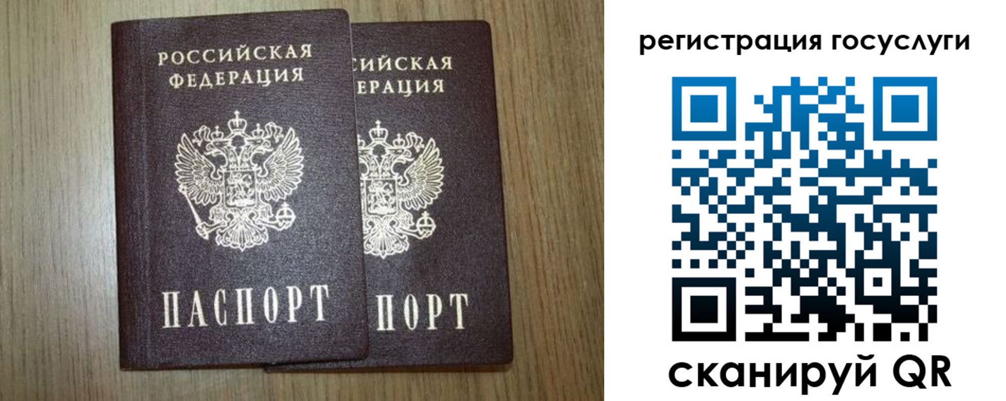 прописка поиск в Клине